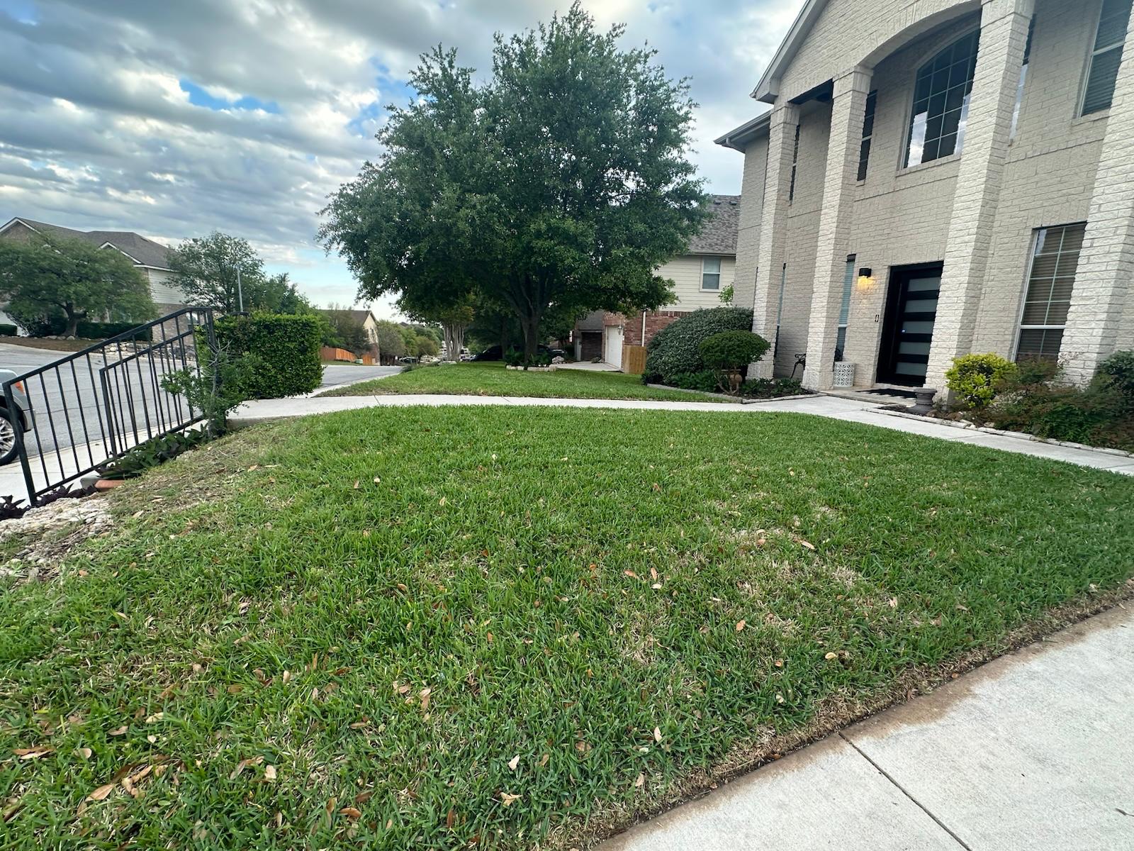 Landscaping work
