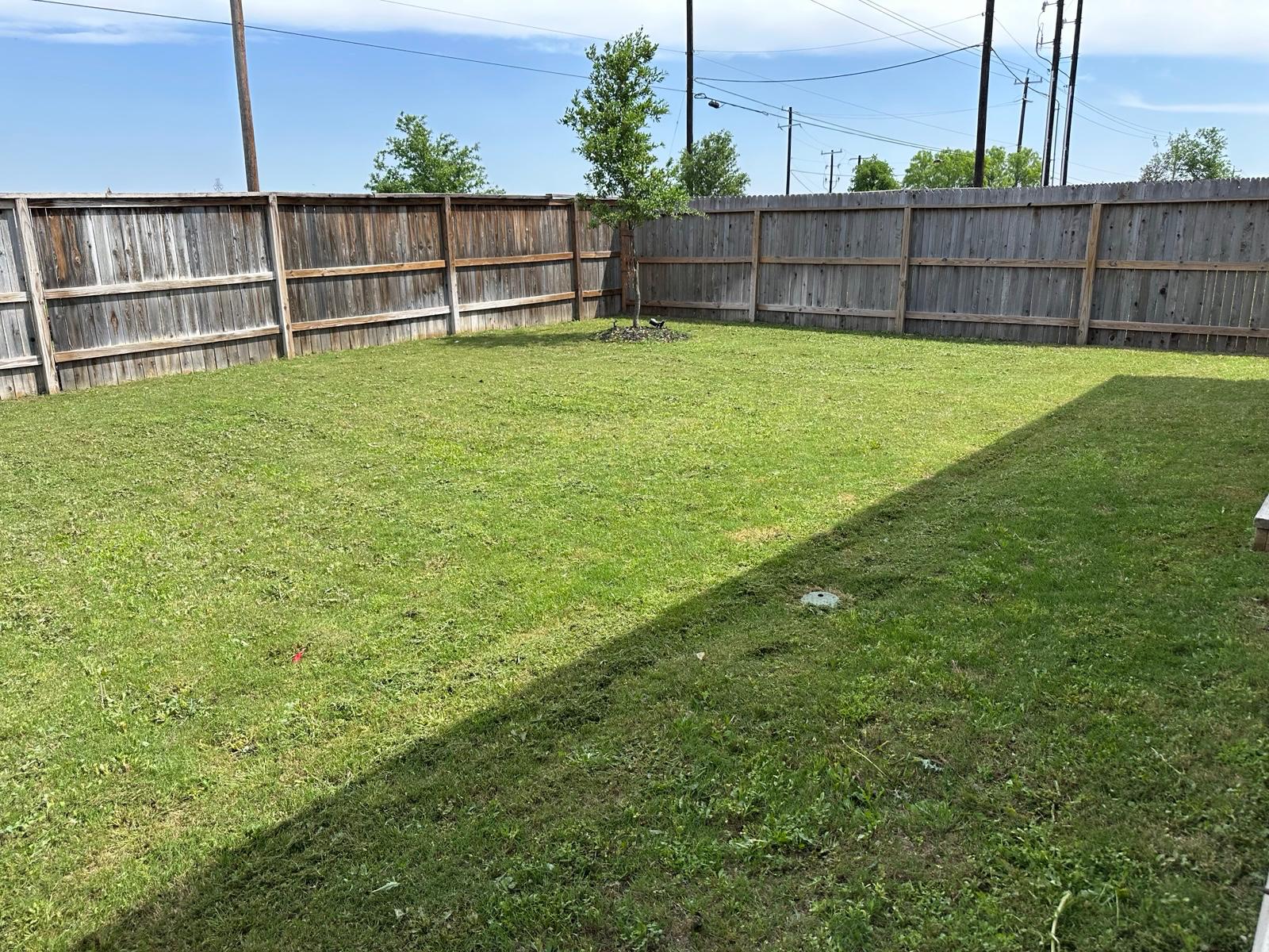 General Lawn Maintenance